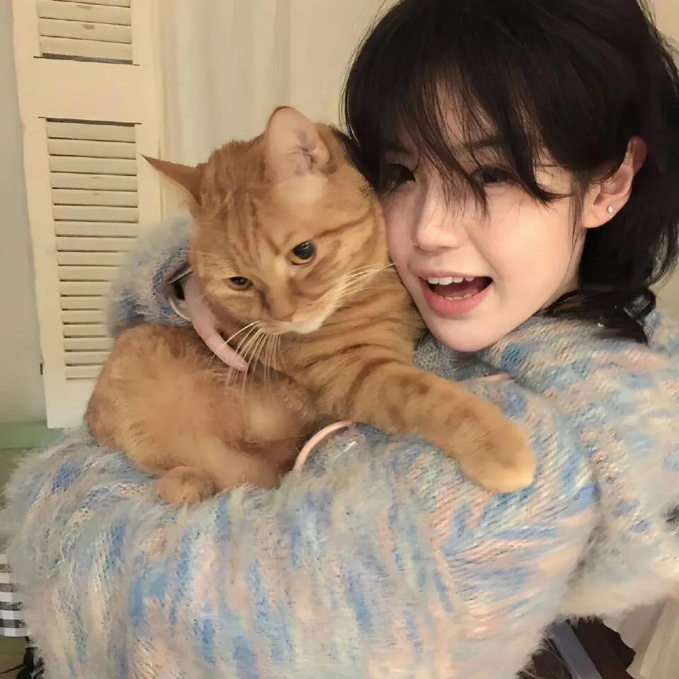 蚊子海岸第一季